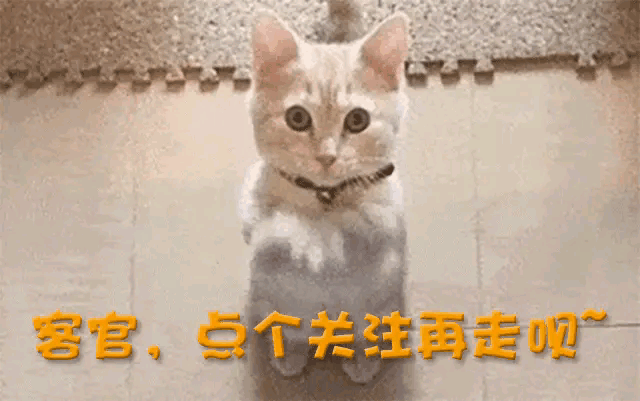 但不管怎样