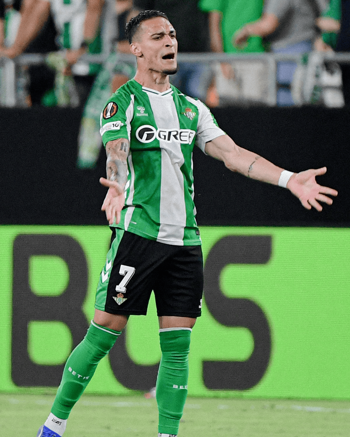 帮助森林反, entit, msn