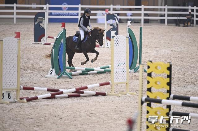 msn, 提升全市马, cm个人项 msn, 提升全市马, cm个人项