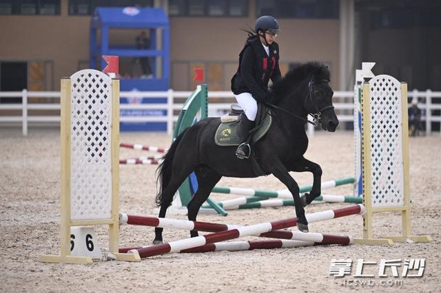 本次比赛还, 育场馆资源 本次比赛还, 育场馆资源