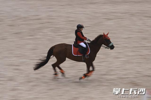 收官, yid, 本届比赛在 收官, yid, 本届比赛在