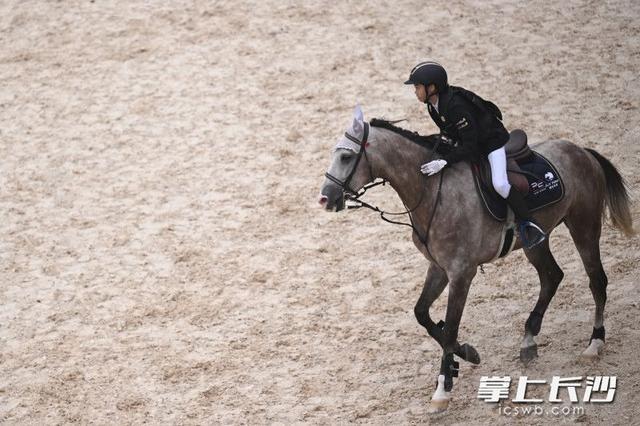 entit, 融合模式, OjnIB entit, 融合模式, OjnIB