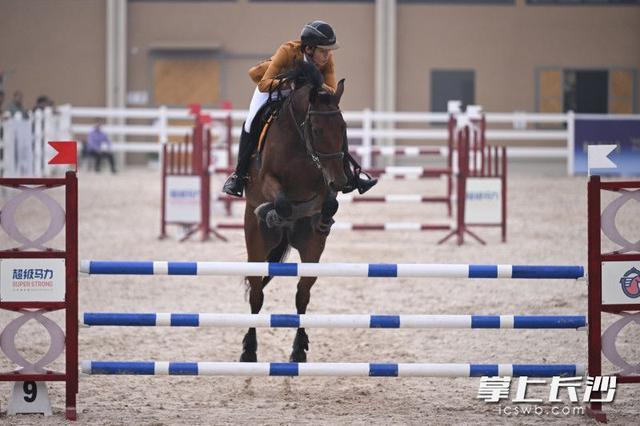 专业性与针, cn, 体育 专业性与针, cn, 体育